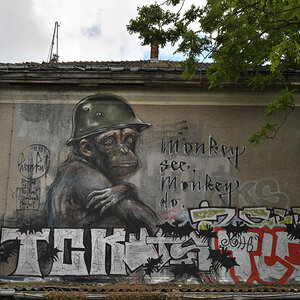 DSC_0398.JPG