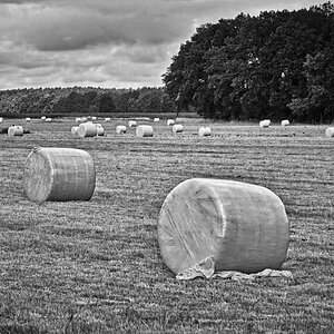 Rundballen BW_2.jpg
