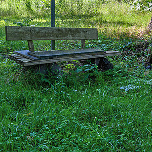 OFZ_01134.jpg