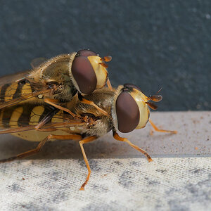 P7126493nikon.jpg