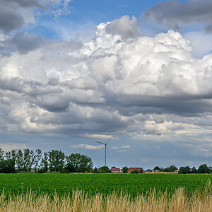 OFZ_01710.jpg