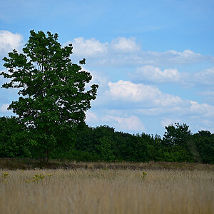 Z8A_0904t5l5fks40p1.jpg