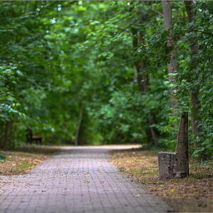 DZ8_2205.jpg