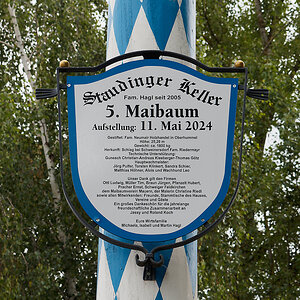 5. Maibaum.jpg