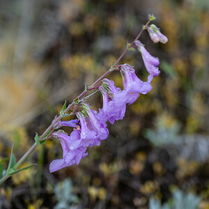 DSC_8030-Verbessert-RR.jpg