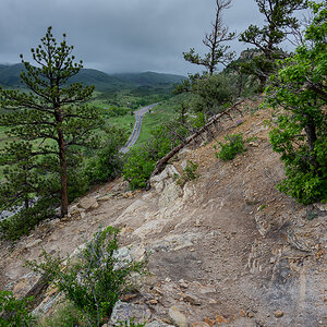 DSC_8039.jpg