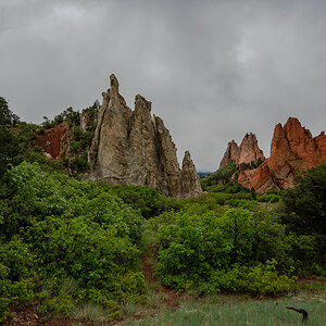 DSC_8054.jpg