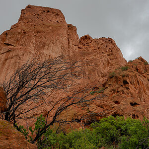 DSC_8059.jpg