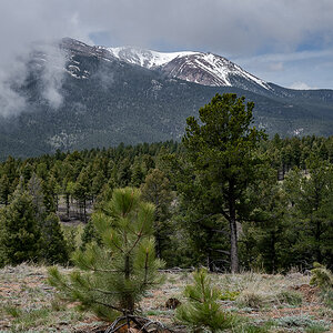 DSC_8105.jpg
