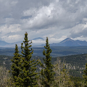 DSC_8106.jpg