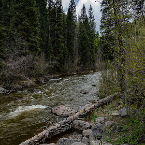 DSC_8206.jpg