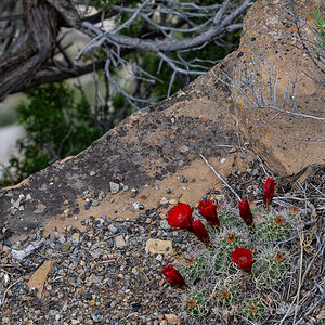 DSC_8230.jpg