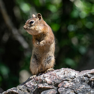 DSC_8401.jpg