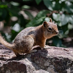 DSC_8407.jpg