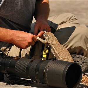 comp Namibia 09 17788