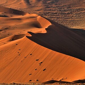 comp Namibia 09 00917a