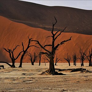 comp Namibia 09 01942b