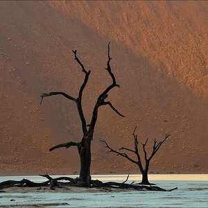 comp Namibia 09 01990
