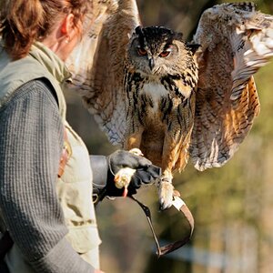 Wildpark Johannismühle