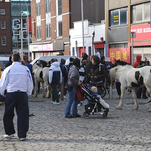 Dublin
Smithfield horsemarket