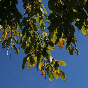 DSC 5478