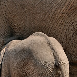 comp Namibia 09 21663