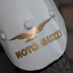 moto guzzi schutzblech