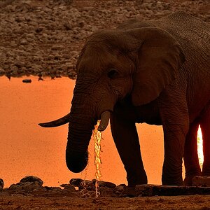 comp Namibia 09 14771