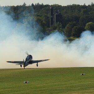 DSC 1538c