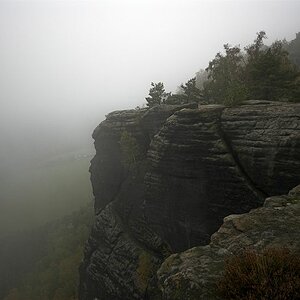 DSC D223970