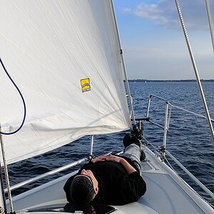 Törn56