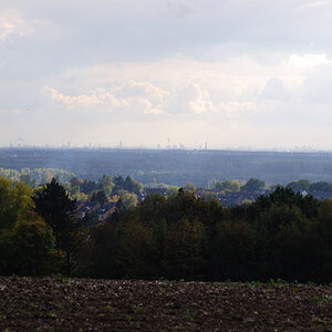 DSC 0988