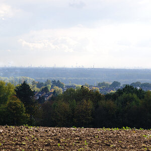 DSC 0991