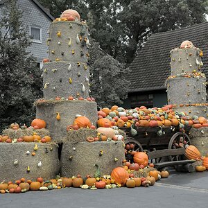 DSC8911 nff