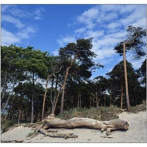Weststrand