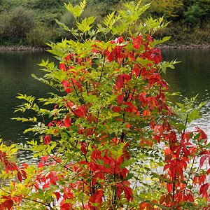mosel 5a JKK 3659