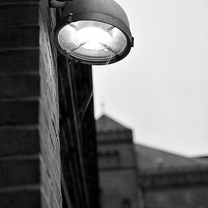 DSC9826 nff