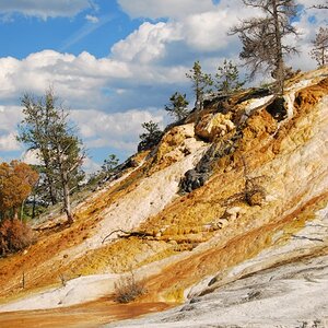 Yellow Stone