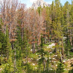 hike