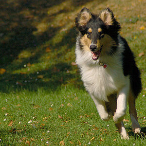 chloehintergrund 1024