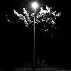 herbstleuchten