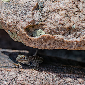 DSC_8534-Verbessert-RR.jpg