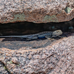 DSC_8537-Verbessert-RR.jpg