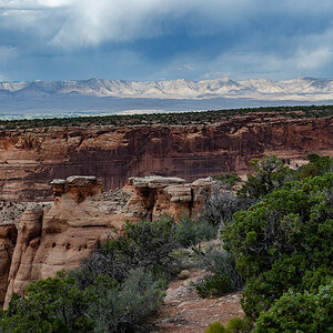 DSC_8580.jpg