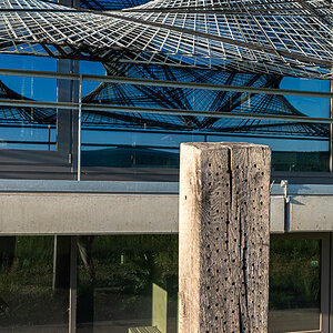 DSC_6448-3.jpg
