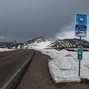 DSC_8713.jpg