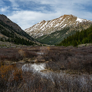 DSC_8719.jpg