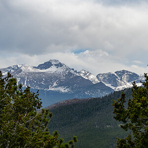 DSC_8876.jpg