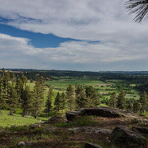 DSC_8916.jpg