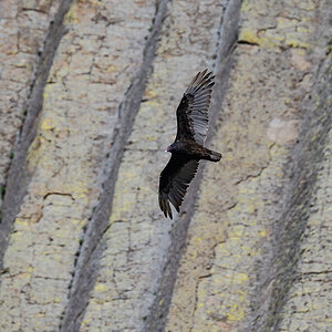 DSC_8953-Verbessert-RR.jpg